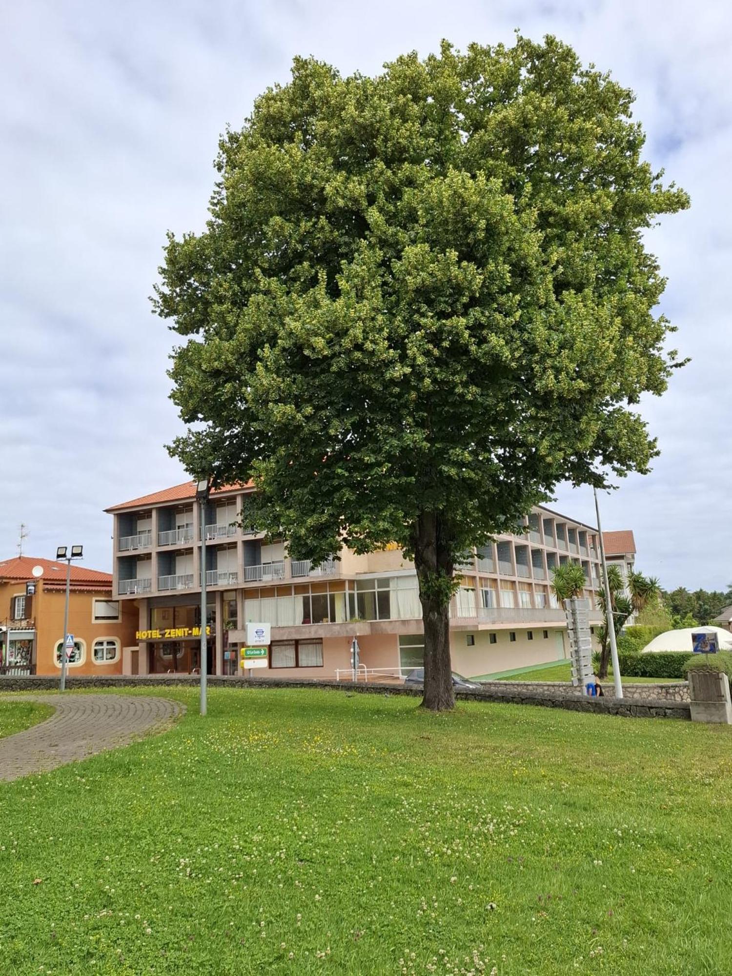 Hotel Zenit Mar Noja Exteriör bild